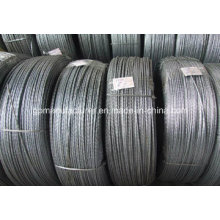 Export High Quality Hot DIP Galvanized Steel Strand